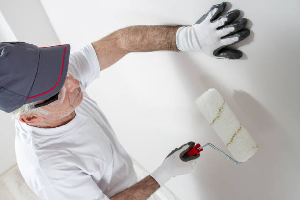Best Attic Mold Removal  in Fairfax, MN