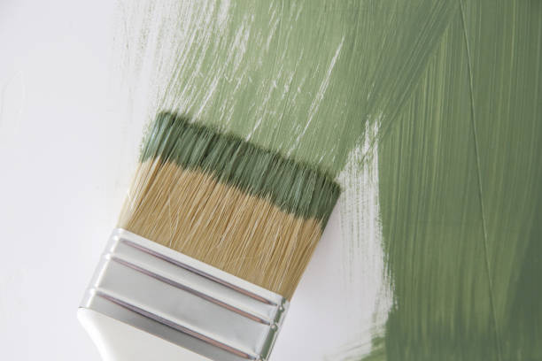 Best Commercial Mold Inspection  in Fairfax, MN