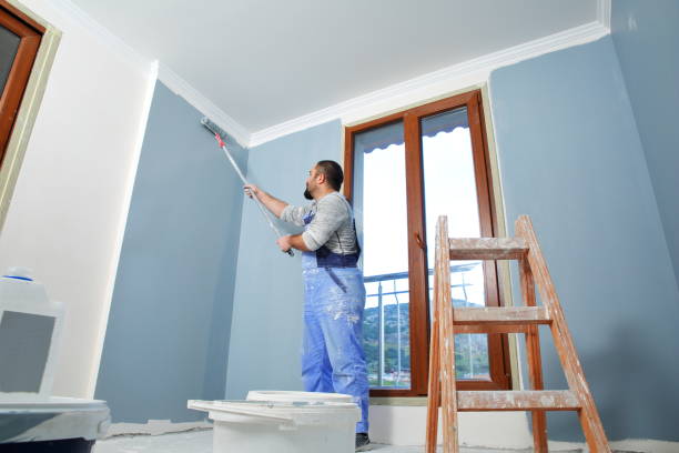 Best Mold Odor Removal Services  in Fairfax, MN