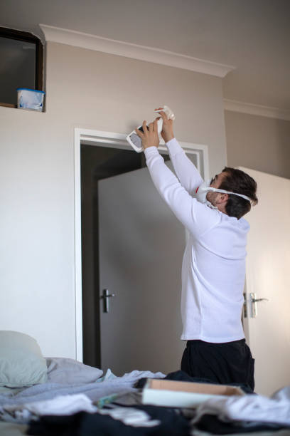 Best Mold Damage Restoration  in Fairfax, MN