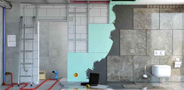 Best Basement Mold Removal  in Fairfax, MN