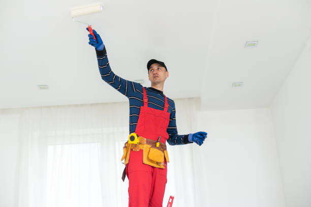 Best Airborne Mold Testing  in Fairfax, MN