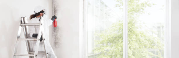 Best Forensic Mold Investigation  in Fairfax, MN