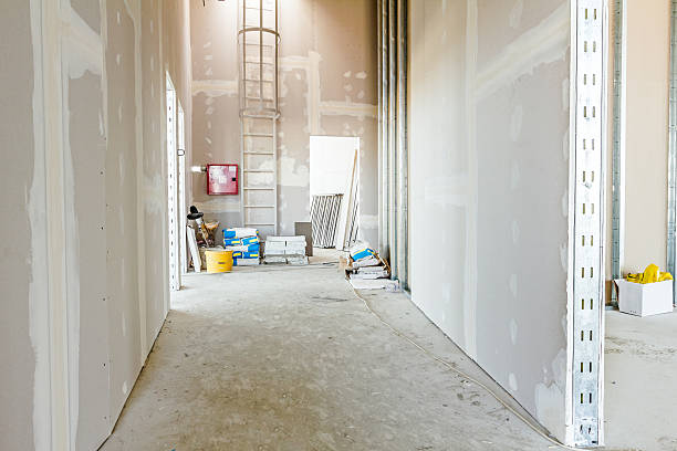 Best Residential Mold Inspection & Testing  in Fairfax, MN